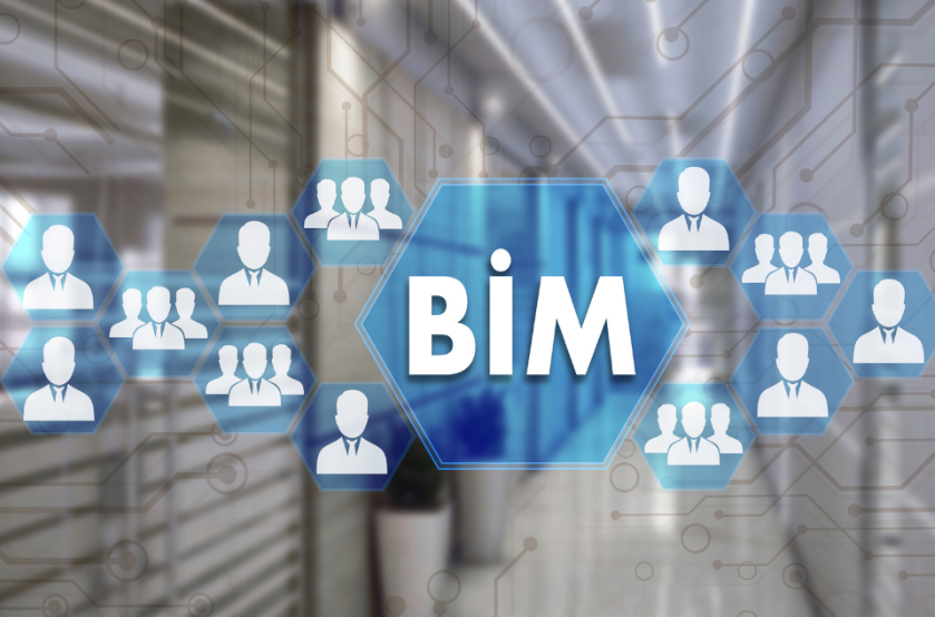 BIM