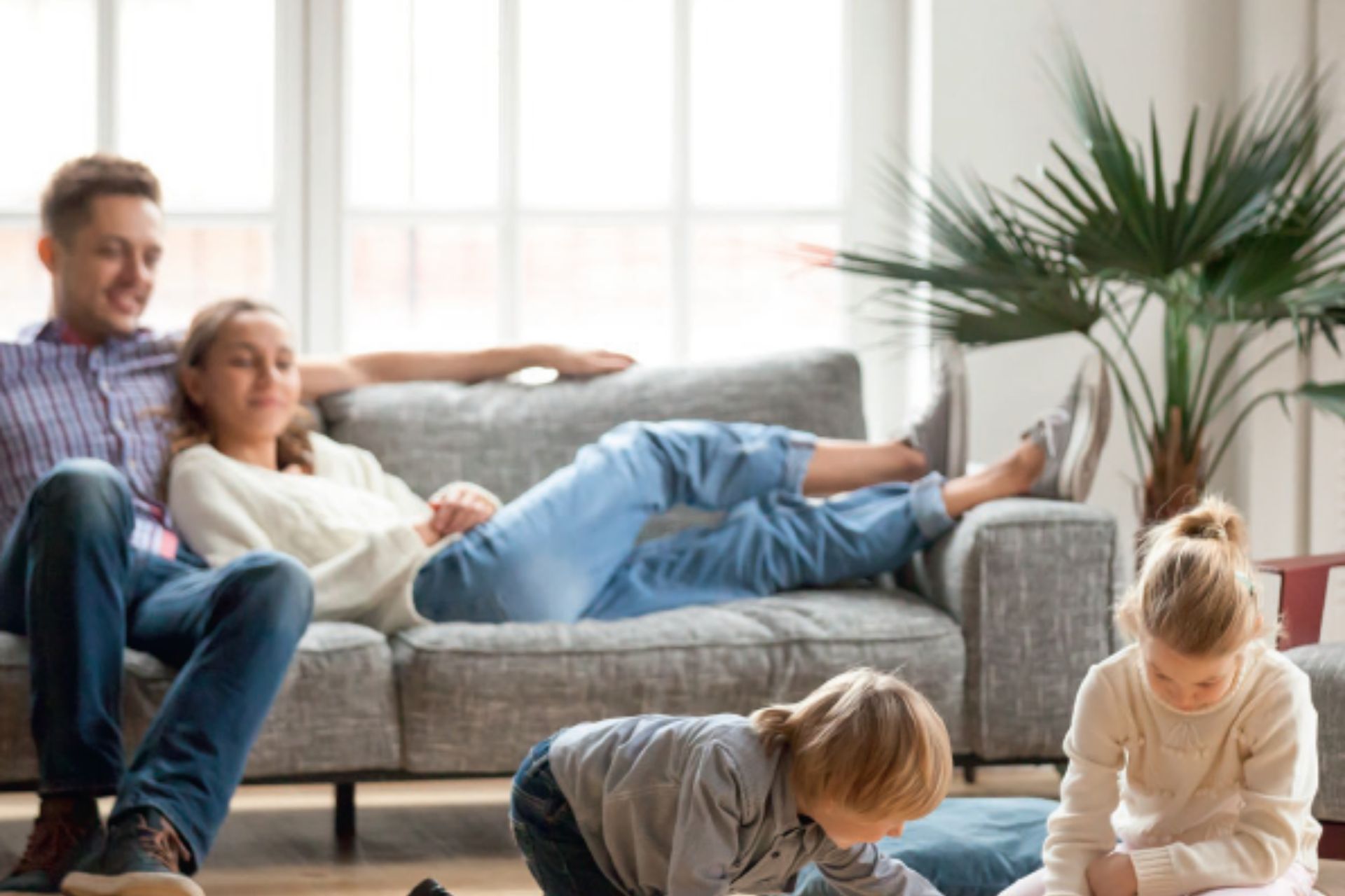 Ubiflux Warranty Terms